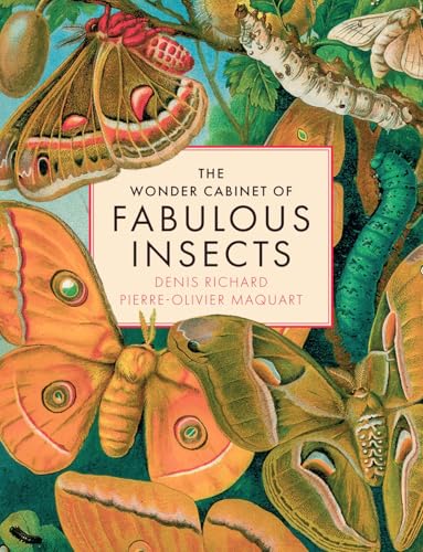Book cover featuring detailed illustrations of various colorful insects.