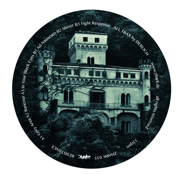 Black vinyl record with a grayscale image of a castle.