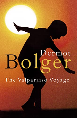 Book cover: Silhouette of a boy reaching towards a large, bright sun.