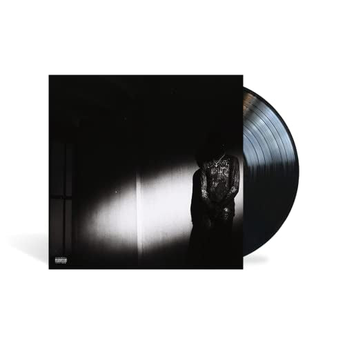 Destroy Lonely album cover and black vinyl record shown at angle.