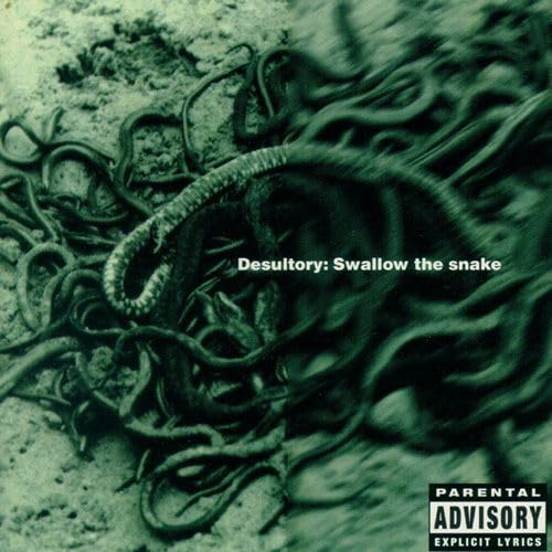 Album cover with swirling snakes and text “Desultory: Swallow the snake.”