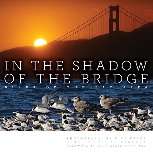 Book cover: Golden Gate Bridge sunset with diverse Bay Area birds.