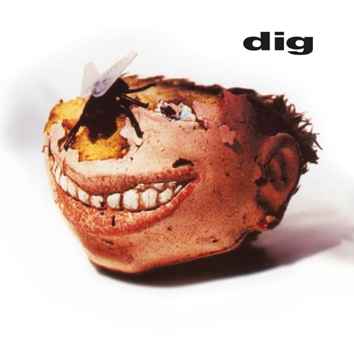 A large fly sits on a decaying human head with a wide, toothy grin.