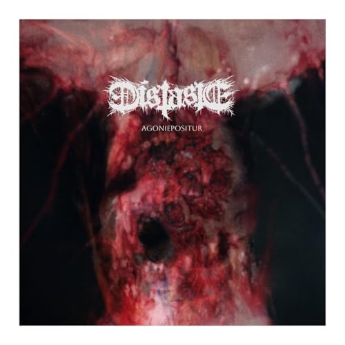 CD cover: dark, abstract red and black image with band name "Distaste".