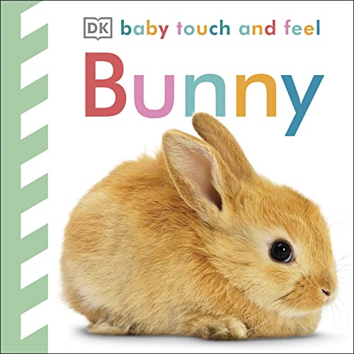 Close-up of a fluffy brown bunny on a book cover.