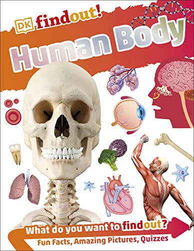 Book cover: "DKfindout! Human Body" with skull, organs, and anatomy illustrations.