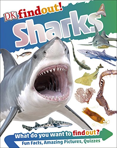 "Book cover featuring a large shark with various other sharks and text 'DKfindout! Sharks'."