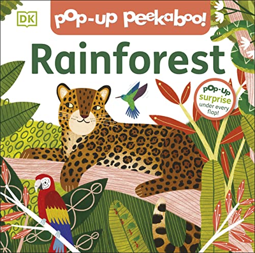 Children’s book cover with a jaguar, hummingbird, and rainforest foliage.