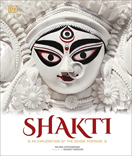 Book cover featuring a close-up of a sculpted face with red accents.