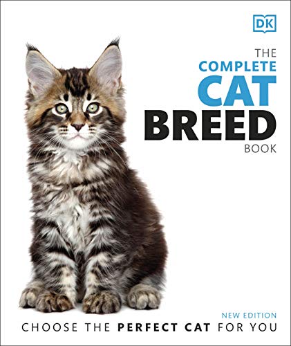 Book cover featuring a fluffy, brown tabby kitten with green eyes.