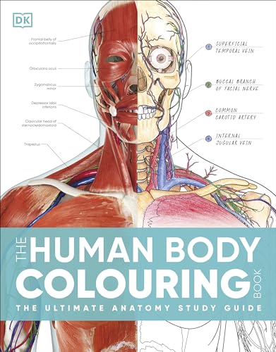 Anatomical illustration of a human head and torso with labeled muscles, veins, and arteries.
