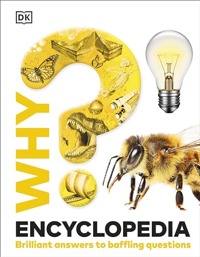 Book cover with a yellow question mark, lightbulb, bee, and dinosaur.