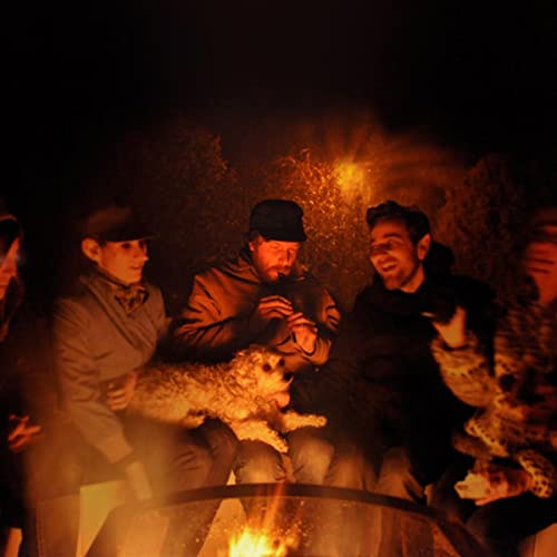 People and a dog gathered around a warm, glowing campfire at night.