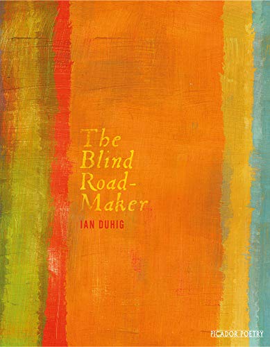 Book cover with orange, yellow, and red vertical painted stripes and title text.