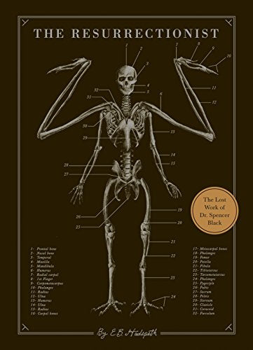 An anatomical diagram of a winged skeleton with numbered labels on a dark background.