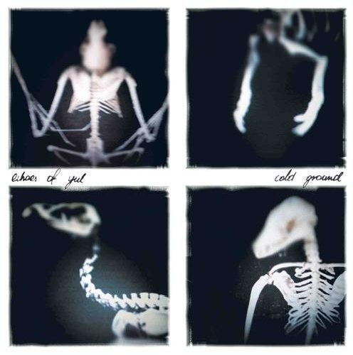CD cover with four x-ray images of animal skeletons on black.