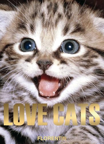 Close-up of a fluffy tabby kitten with blue eyes and the title "Love Cats".