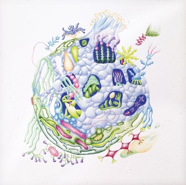 Colorful, detailed illustration of a cell-like structure with organic forms.