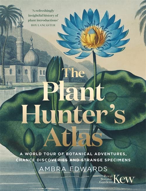 Book cover featuring a vibrant blue flower and historical building illustration.