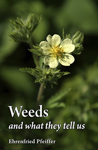 Book cover featuring a pale yellow flower with the title Weeds and What They Tell Us.