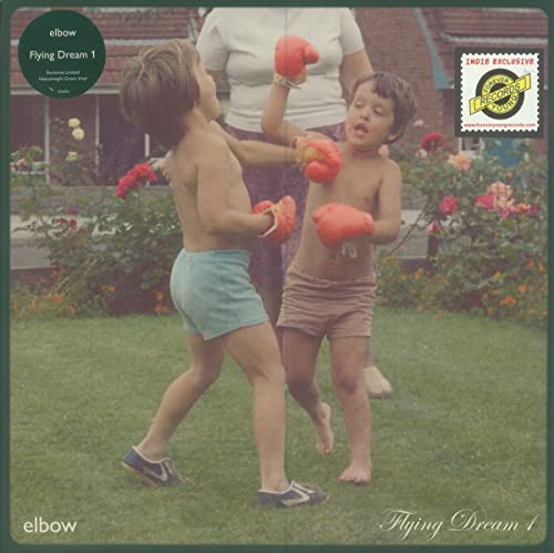 Vinyl record cover: two young boys playfully boxing in a garden.