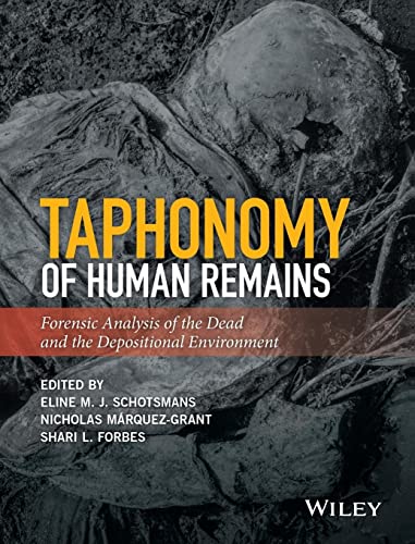 Book cover with textured rock image and bold yellow title text.