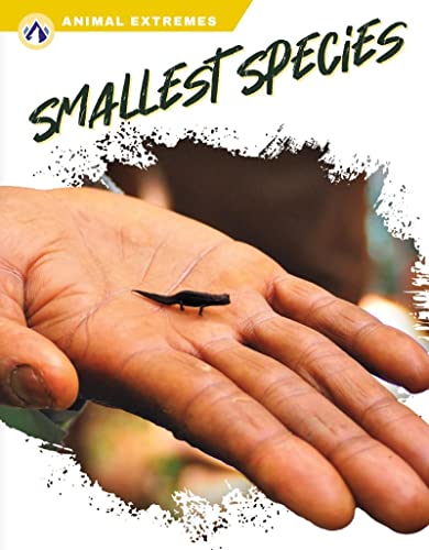 Book cover featuring a tiny black lizard on a human hand.