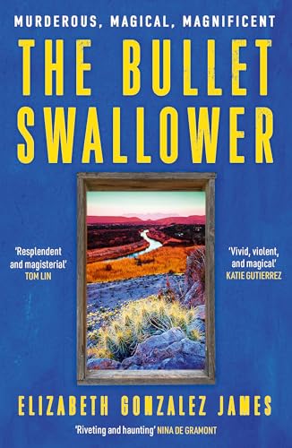 Book cover with yellow title on blue background, framing a desert landscape window view.