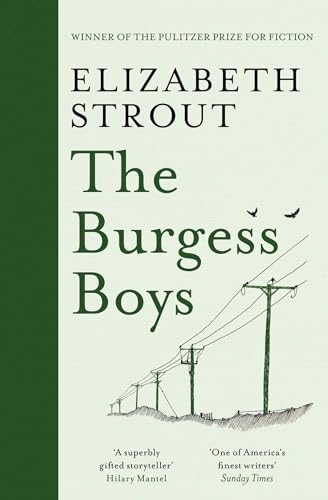 Book cover for The Burgess Boys by Elizabeth Strout featuring power lines and birds.