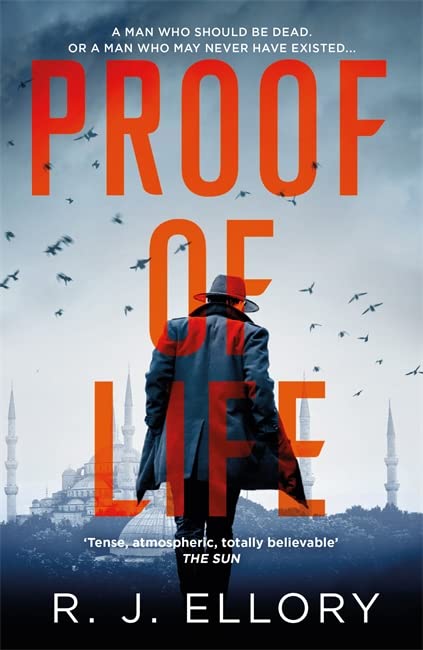 Book cover: man in red coat seen from behind, Istanbul skyline.