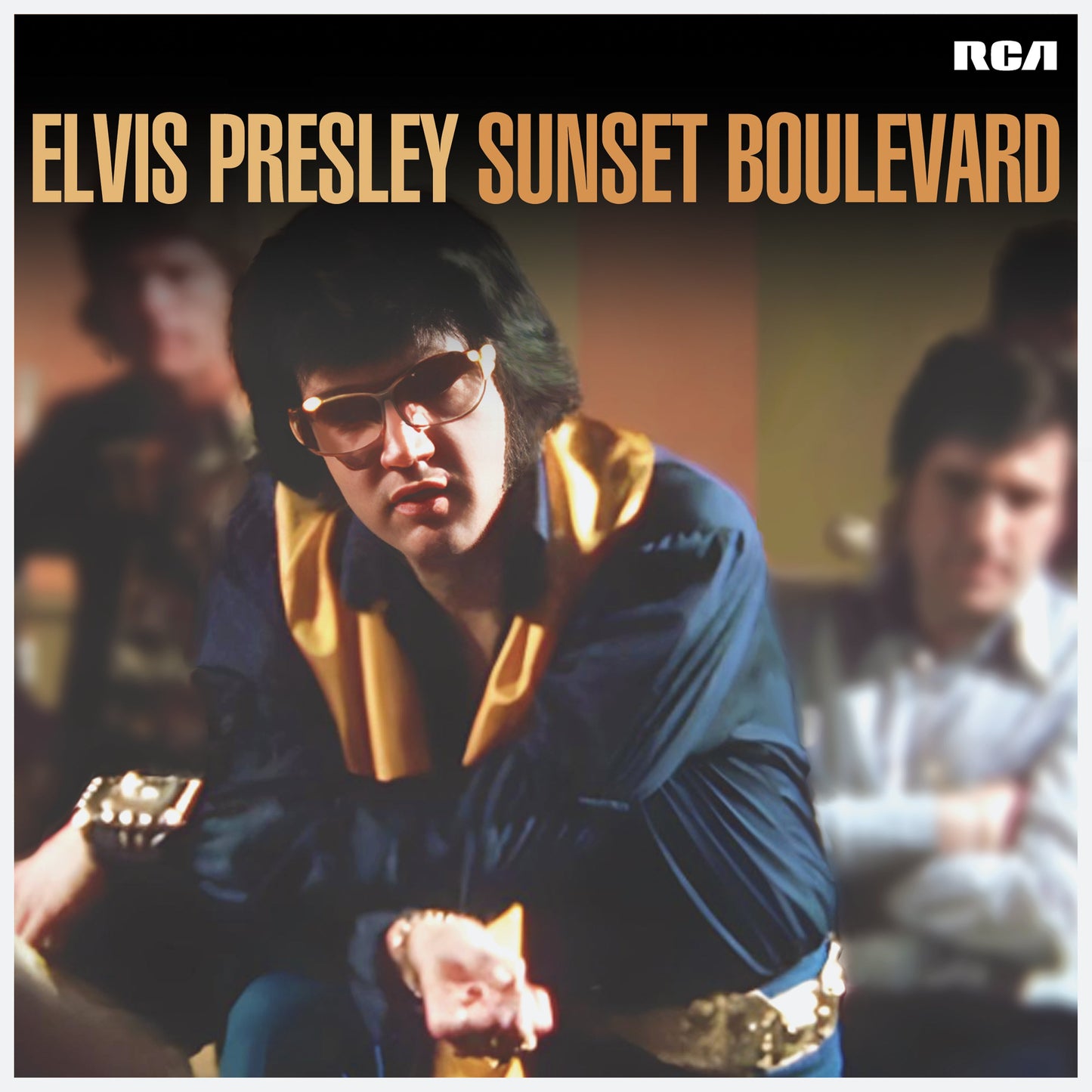 Elvis Presley album cover, featuring a portrait with guitar, RCA logo.