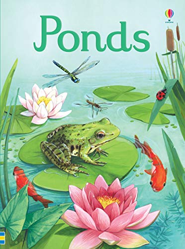 Book cover depicting a green frog on a lily pad in a pond.