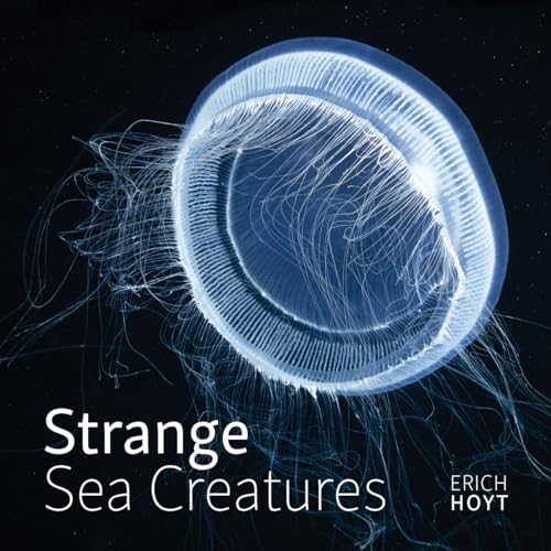 Glowing jellyfish against a dark blue background, book title "Strange Sea Creatures".