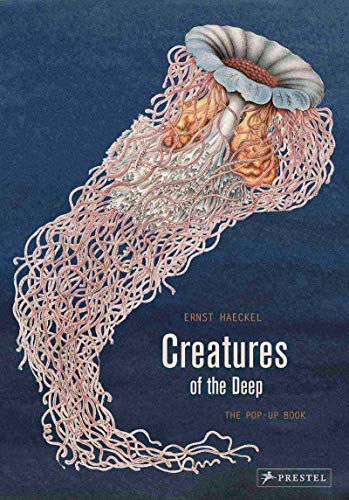 Pop-up book cover featuring a detailed illustration of a jellyfish.