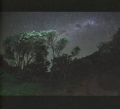 Night landscape with silhouetted trees under a starry, milky sky.