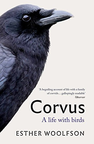 Book cover featuring a close-up of a black raven’s head and title “Corvus”.