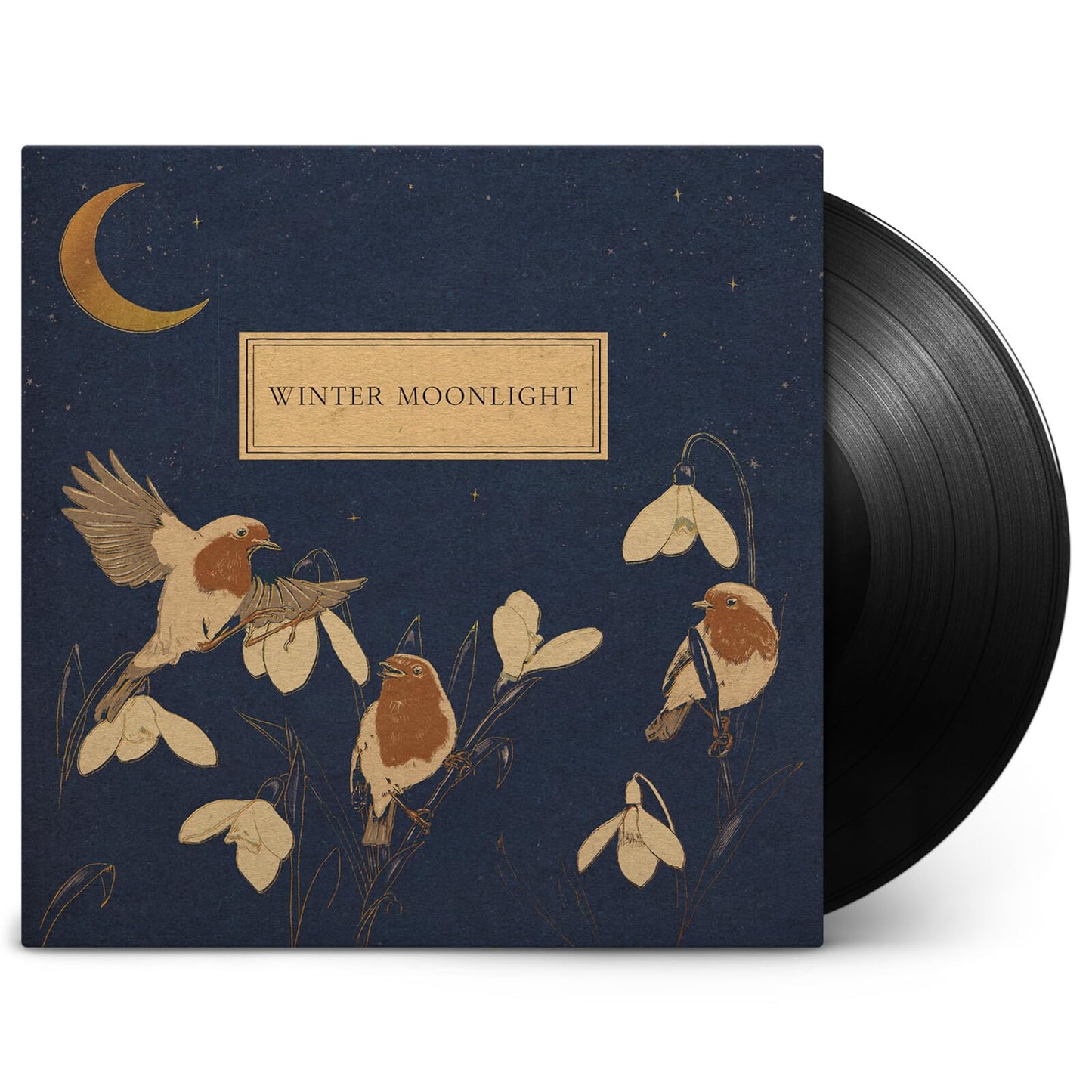 Vinyl record with cover art depicting birds, snowdrops, and a crescent moon.