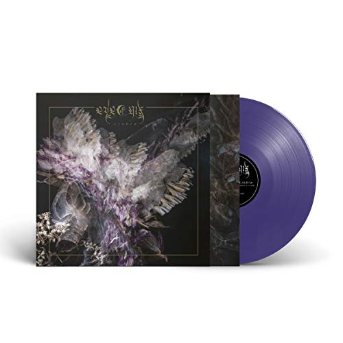 Vinyl record and album cover with floral, dark, and textured imagery.