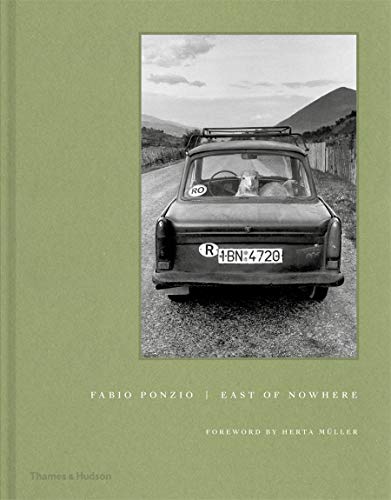 Book cover featuring a vintage car with goats inside, rural landscape.