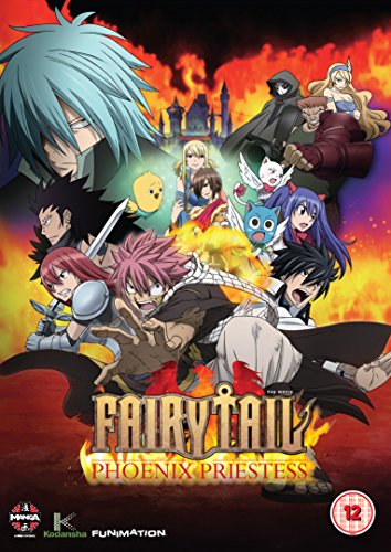 Anime characters from Fairy Tail stand before a fiery background on a DVD cover.