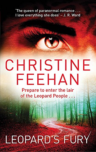 Book cover: close-up of an eye over a misty forest path.