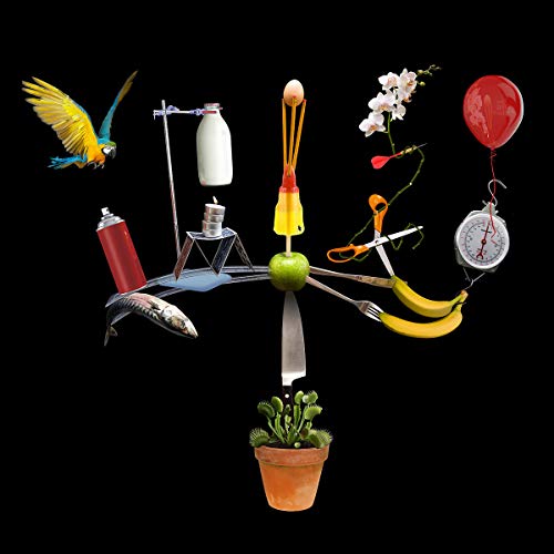 Surreal collage of objects—bird, scales, fish, plants, balloon—on black background.