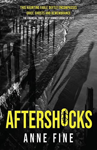 Book cover: “Aftershocks” by Anne Fine, featuring a bridge and shadows.