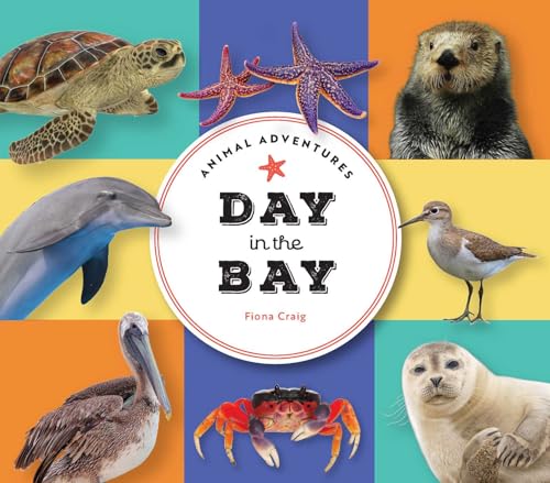 Book cover featuring a dolphin, sea turtle, starfish, and other bay animals.