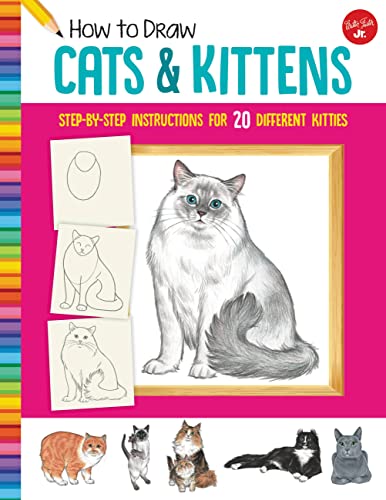 Book cover showing a fluffy cat and drawing tutorials for kittens.