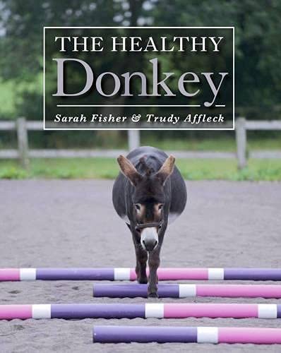 Book cover featuring a grey donkey standing in front of colorful poles.