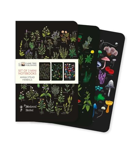 Three mini notebooks with black covers featuring botanical and mushroom illustrations in a set.