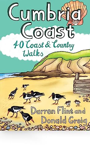 Book cover showing oystercatchers on a beach with cliffs and a seashell illustration.