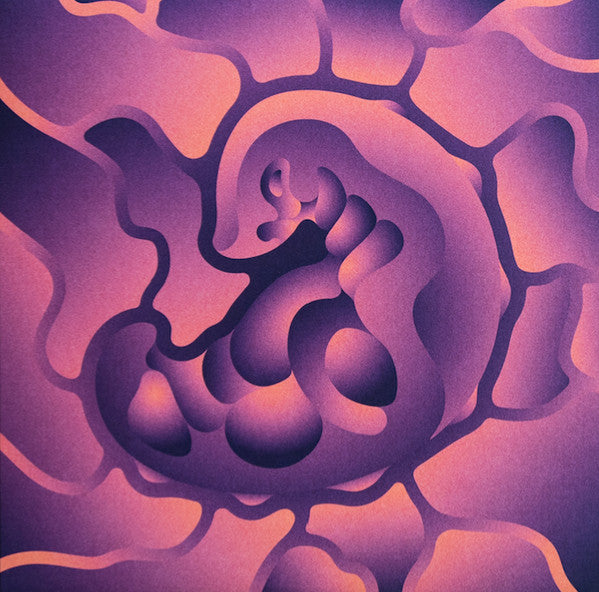 Abstract purple and pink vinyl record cover with swirling, organic shapes.