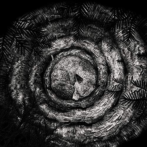 Black and white spiral artwork resembling tree rings or a vortex.